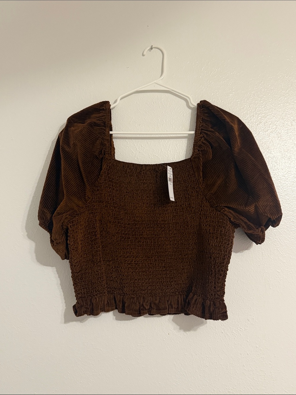 American Eagle Outfitters Brown Smocked Puff Sleeve Top